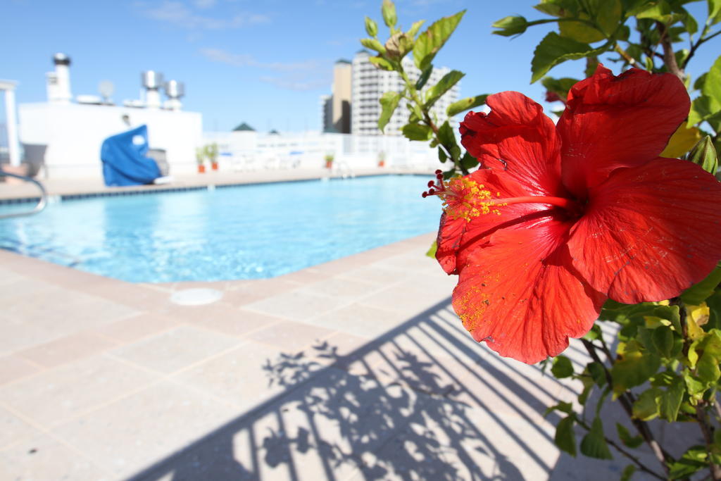 Princess Bayside Beach Hotel Ocean City Bagian luar foto