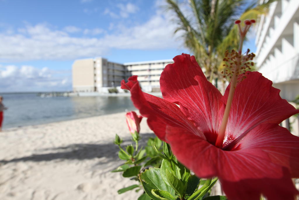 Princess Bayside Beach Hotel Ocean City Bagian luar foto