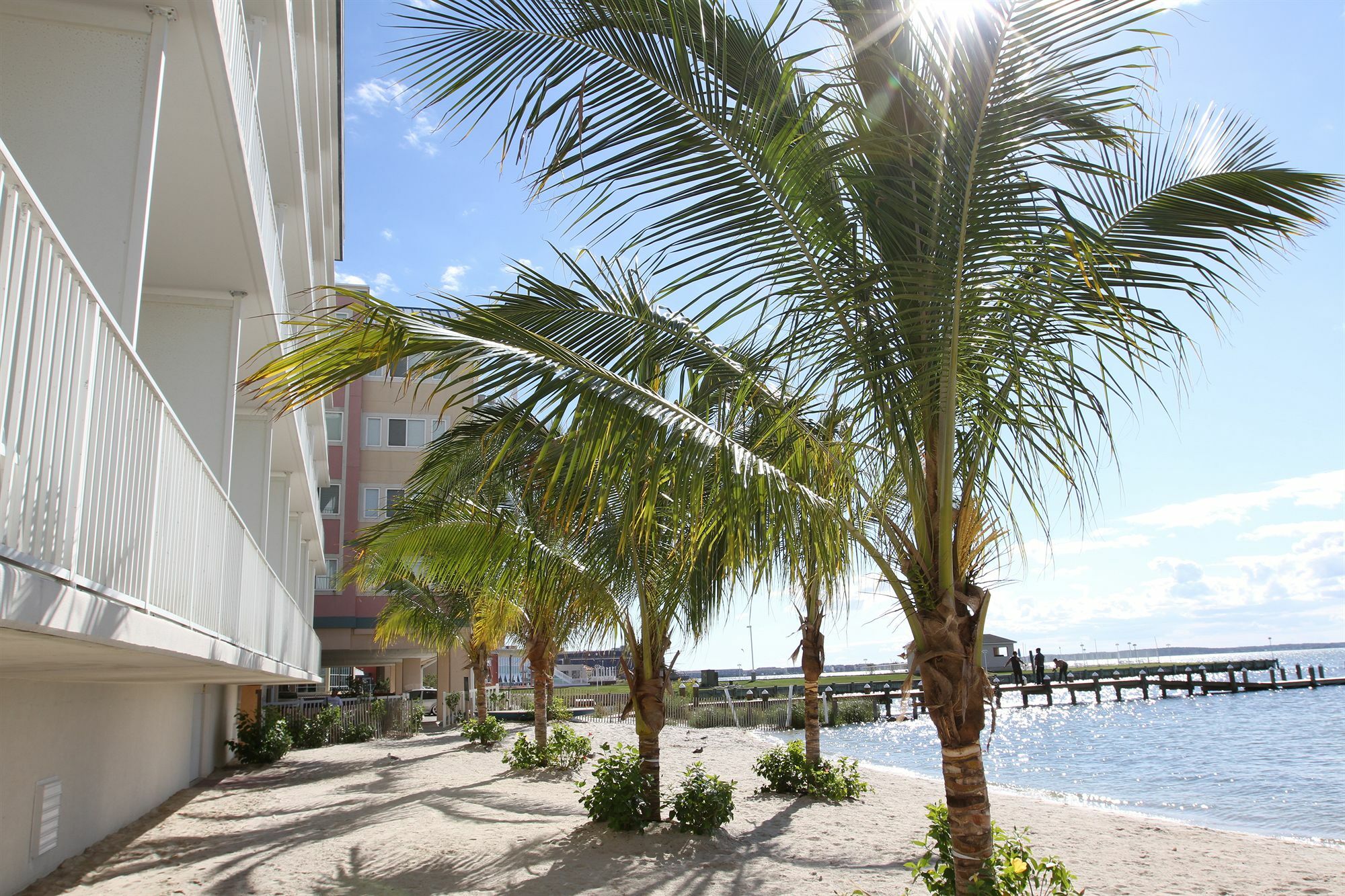 Princess Bayside Beach Hotel Ocean City Bagian luar foto